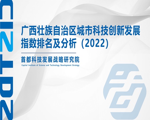 鸡巴操大奶美女网址【成果发布】广西壮族自治区城市科技创新发展指数排名及分析（2022）